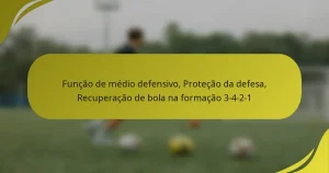 Função de médio defensivo, Proteção da defesa, Recuperação de bola na formação 3-4-2-1